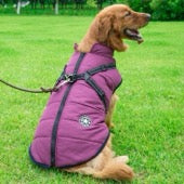 Reflective Waterproof Winter Dog Coat — Warm & Safe for Perth Walks
